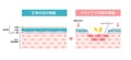 Comparison illustration between normal and dry eye. Cross section of eye surface. Japanese Royalty Free Stock Photo