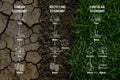 Comparison of linear, recycling and circular economy infographic on dry soil and green grass background. Scheme of product life Royalty Free Stock Photo