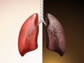 Comparison of lung care Royalty Free Stock Photo
