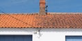 Comparison Roof cleaning moss and lichen before and after high pressure water cleaner tile Royalty Free Stock Photo