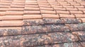 Comparison Roof tiles clean moss and lichen before and after cleaning high pressure water cleaner tile