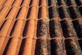 Comparison roof top before and after cleaning moss lichen with brush