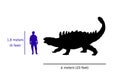 Comparison size between ankylosaurus and human. Illustration of silhouette of ankylosaurus body compared with human`s body