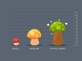 the comparison between three mushrooms. Isolated Vector Illustration