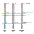 Comparison of three temperature scales vector Royalty Free Stock Photo