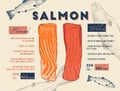 Comparison between wild and farmed salmon filet Royalty Free Stock Photo