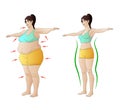 Comparison of a woman body shape before and after dieting or training