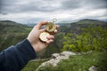 Compass on the background of a green cliff