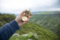 Compass on the background of a green cliff