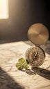 Compass and clover on map Royalty Free Stock Photo