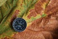 Compass on dry leaf texture background, journey planning concept, blank space, top view Royalty Free Stock Photo