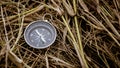 Compass on a dry straw.