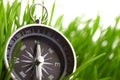 Compass in green grass