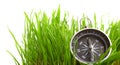 Compass in green grass