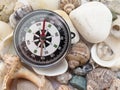 Compass and interesting seashells closeup, background about tour