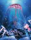 Ocean Compass Jellyfish