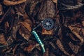 Compass On Leaves In The Forest, Metaphor. Bushcraft Equipment Survival Scouting Concept