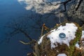 The compass is lying on the snow on the lake shore . The arrow points to the North