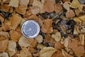 Compass lying in yellow autumn foliage.Concept recreation, travel, and tourism