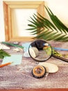 Compass, magnifier, notepad, pencil, sea stones, palm leaf on a textural wooden table