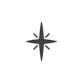 Compass, North star vector icon