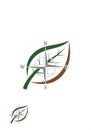 A compass rose design is integrated into a stylized leaf shape. The leaf is depicted in Royalty Free Stock Photo