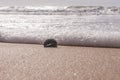 Compass on the sea sand at the beach Royalty Free Stock Photo