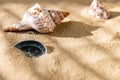 Compass and seashells on the sand at the beach. Compass on the sea sand Royalty Free Stock Photo