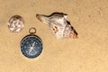 Compass and seashells on the sand at the beach Royalty Free Stock Photo