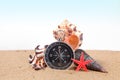 Compass, seashells on and starfish the sea sand Royalty Free Stock Photo