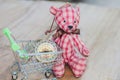 Compass in shopping cart with bear toy