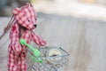 Compass in shopping cart with bear toy