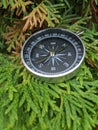 the compass shows the direction on your path you choose yourself