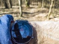 Compass on a smartwatch used for orienteering activity