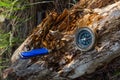 Compass and survival knife on an old rotten stump.A tool for Hiking and survival. Royalty Free Stock Photo