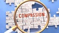 Compassion being closely examined