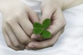 Compassion with a Four Leaf Clover