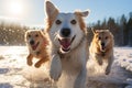 Sled Dogs - Generative AI