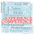 Competence experience word cloud