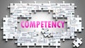 Competency as a complex subject, related to various topics and ideas on a puzzle