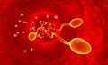 Competing spermatozoa. Movement of spermatozoa through the fallopian tubes. Sperm, fertilization. 3D illustration.