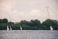 Sailboats competition on the river