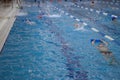 Competition swimming pool crowded of swimmers training. Royalty Free Stock Photo