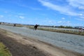 Competitions horse riders on the racetrack. Competitions at the racetrack in the city of Chita on May 5, 2019.