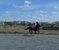 Competitions horse riders on the racetrack. Competitions at the racetrack in the city of Chita on May 5, 2019.