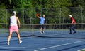 Competitive Game of Pickle Ball