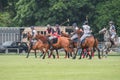 Competitive game of polo on a green field in the park. Royalty Free Stock Photo