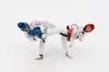 Competitive young men, taekwondo athletes fighting, hitting with legs isolated over white background. Martial arts Royalty Free Stock Photo