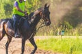 Competitor rival girl riding horse in summer field meadow.Young rider gallops through the summer sunny day Royalty Free Stock Photo