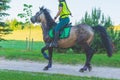 Competitor rival girl riding horse in summer field meadow.Young rider gallops through the summer sunny day Royalty Free Stock Photo